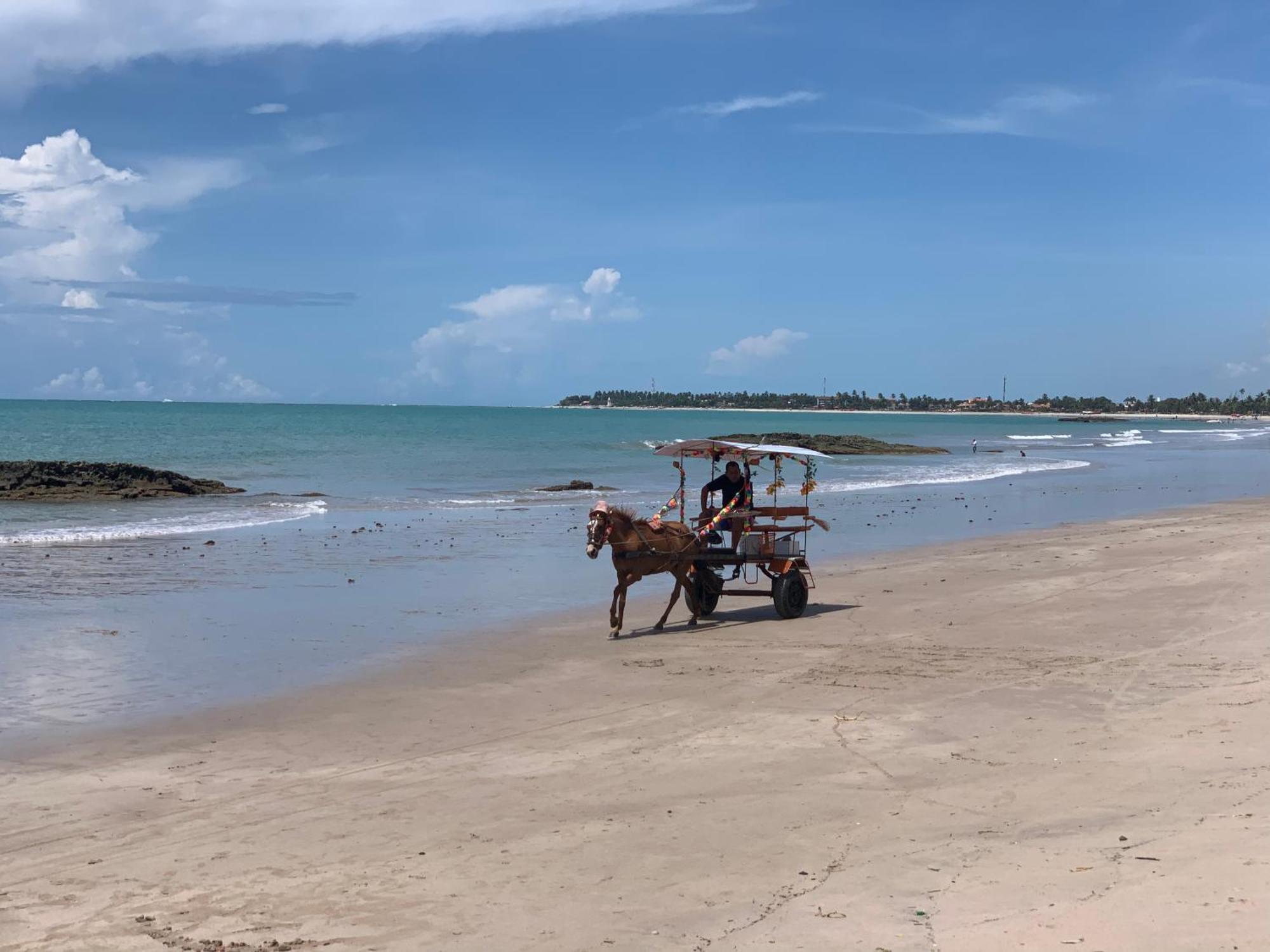 Carneiros Beach Resort Flat Tamandaré Exterior foto